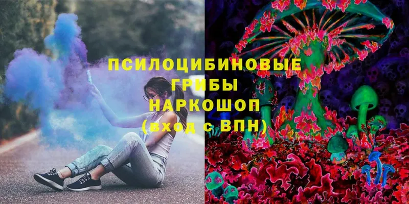 Галлюциногенные грибы Psilocybine cubensis  хочу   Аша 